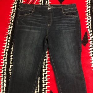 Terra & Sky Dark Denim Jeans size 2X